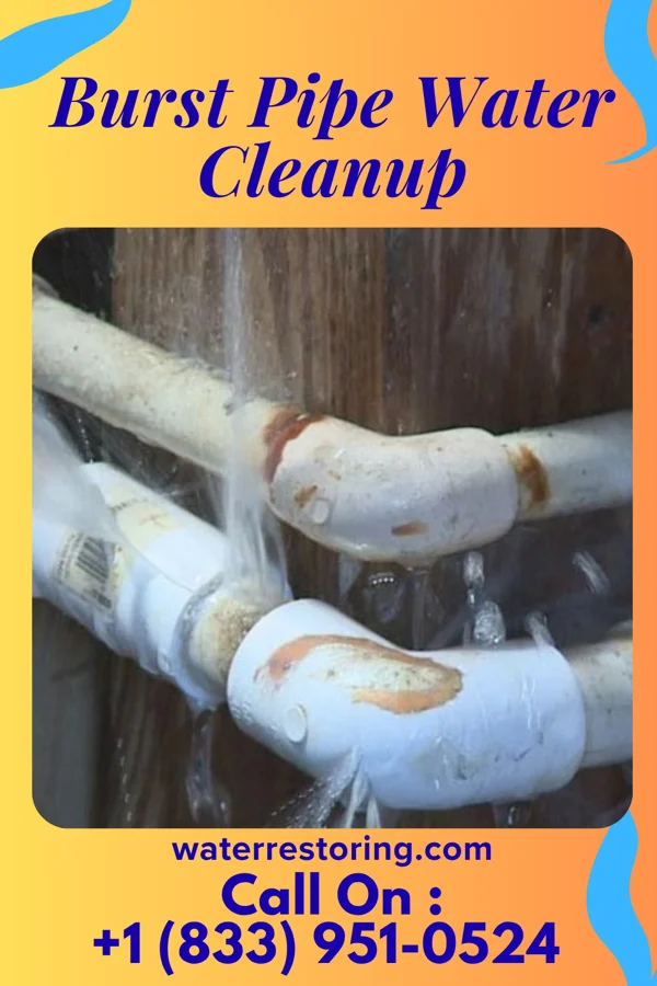 Burst Pipe Water Cleanup in Robeson Extension, PA