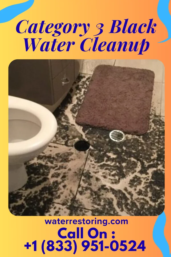 Category 3 Black Water Cleanup in Robeson Extension, PA