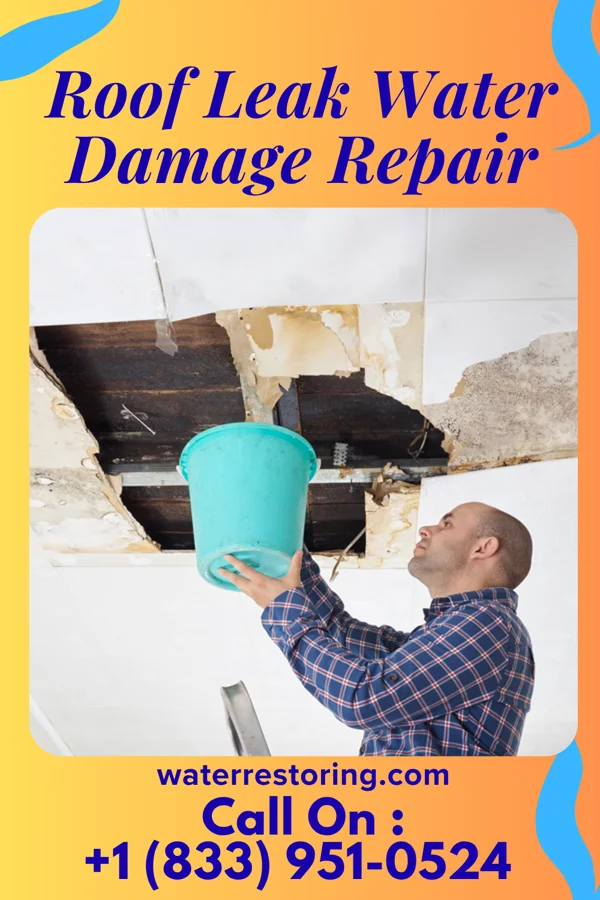 Roof Leak Water Damage Repair in Robeson Extension, PA
