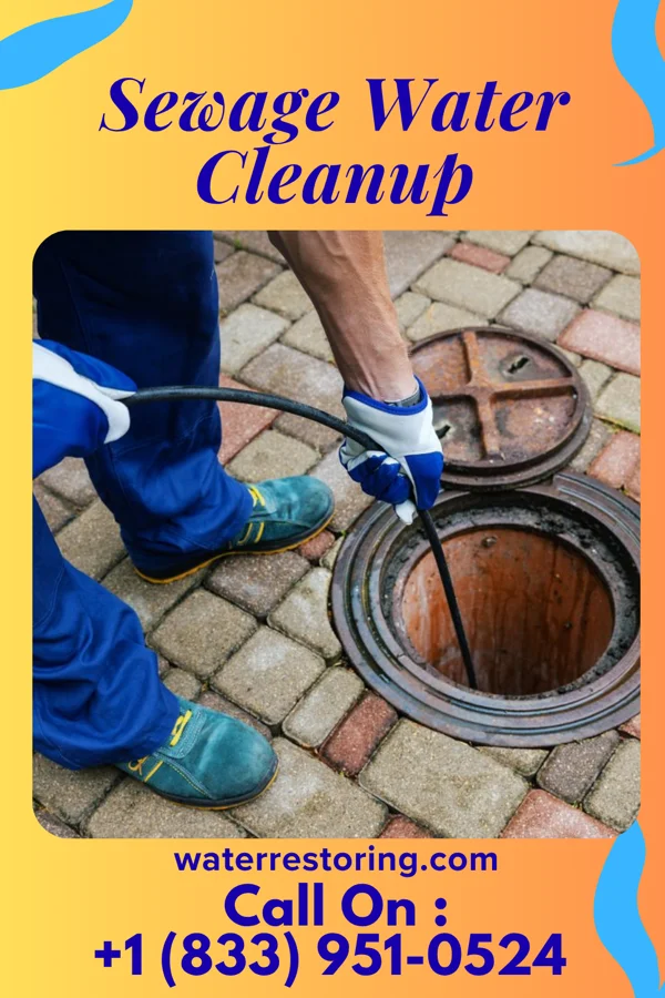 Sewage Water Cleanup in Robeson Extension, PA