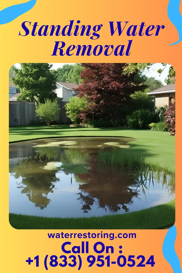 Standing Water Removal in Robeson Extension, PA